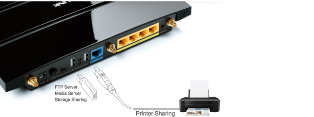 Dual Multifunctional USB Ports